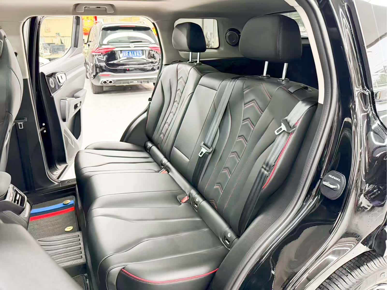 Haval Cool Dog, 2022 13