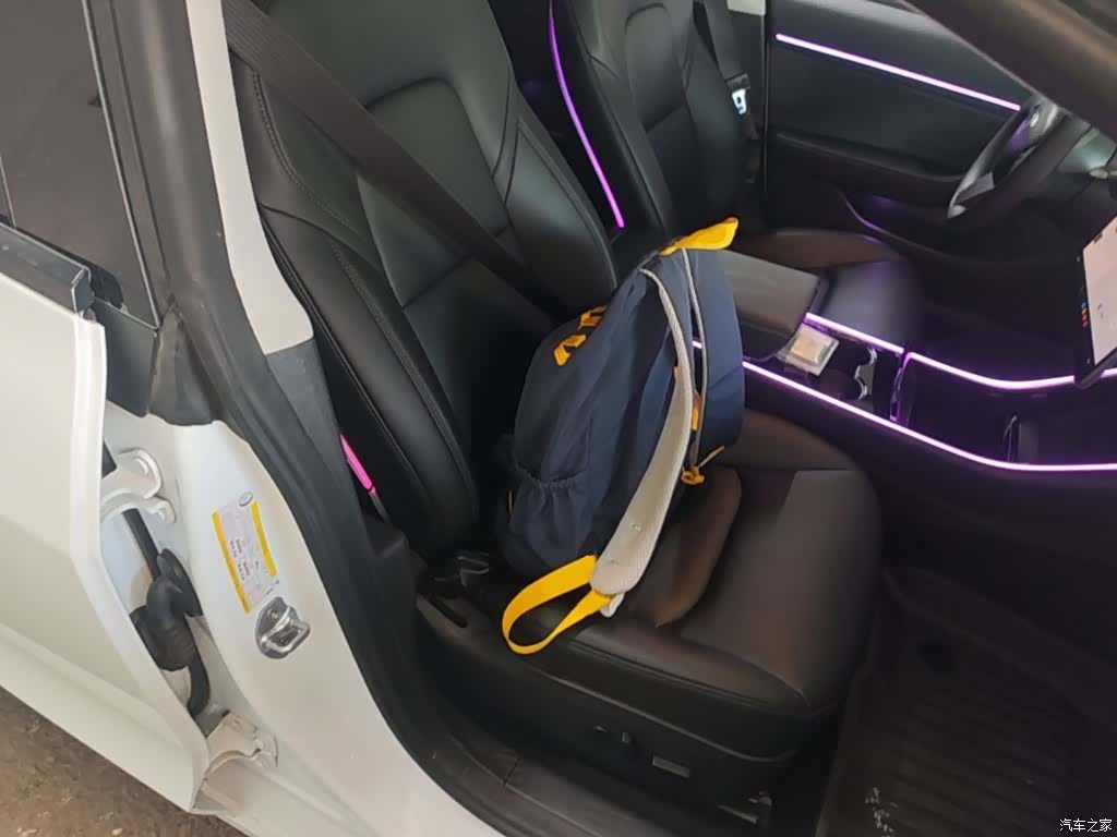 Tesla Model 3, 2020 25