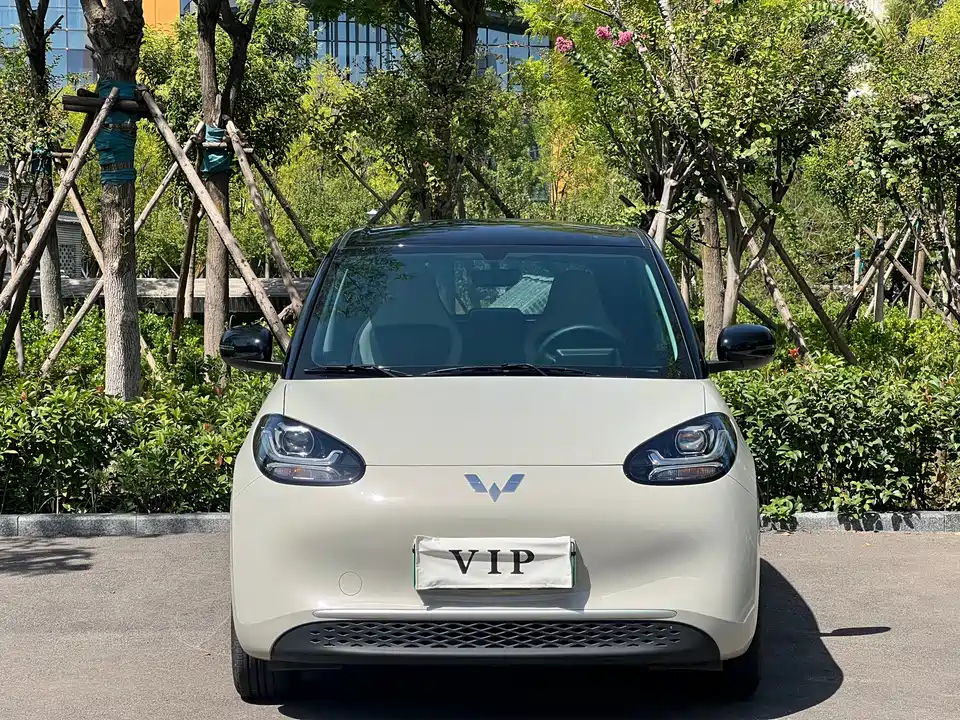 Wuling Wuling Bingguo