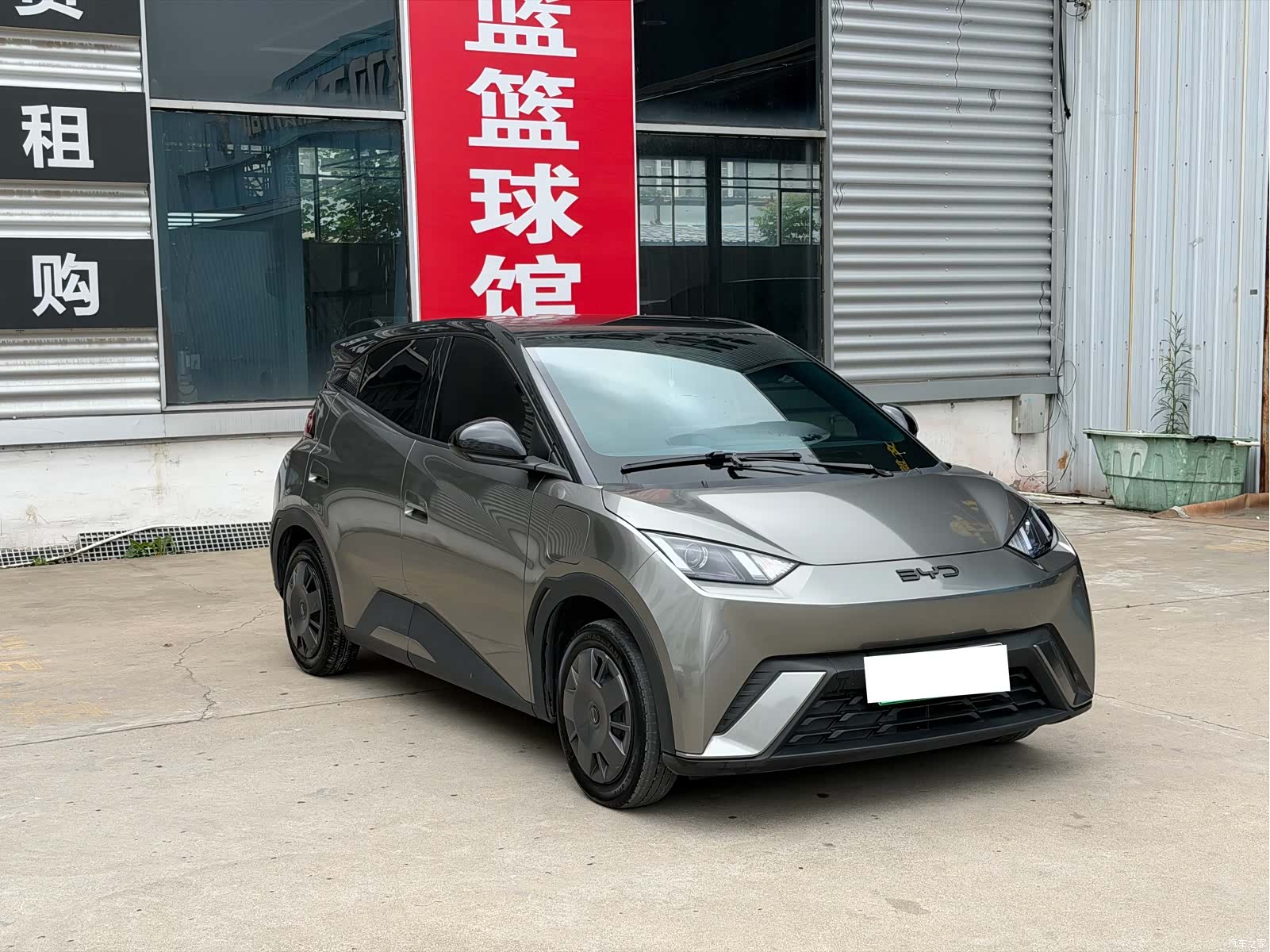 BYD Seagull, 2024 3