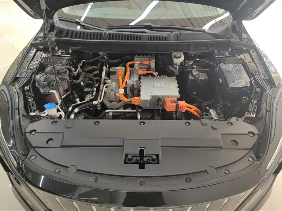 Hongqi E-QM5 Hongqi E-QM5