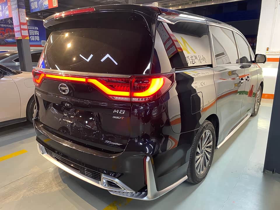 Trumpchi Trumpchi M8