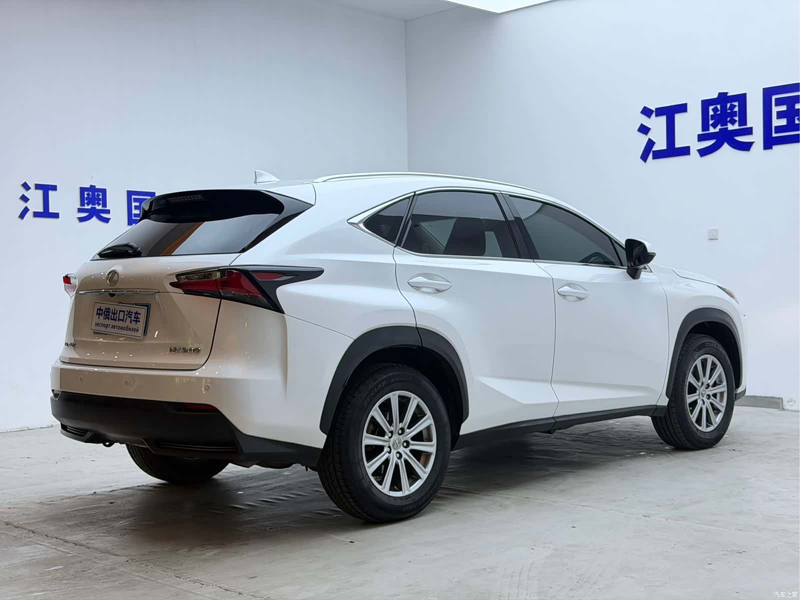 Lexus NX, 2017 19