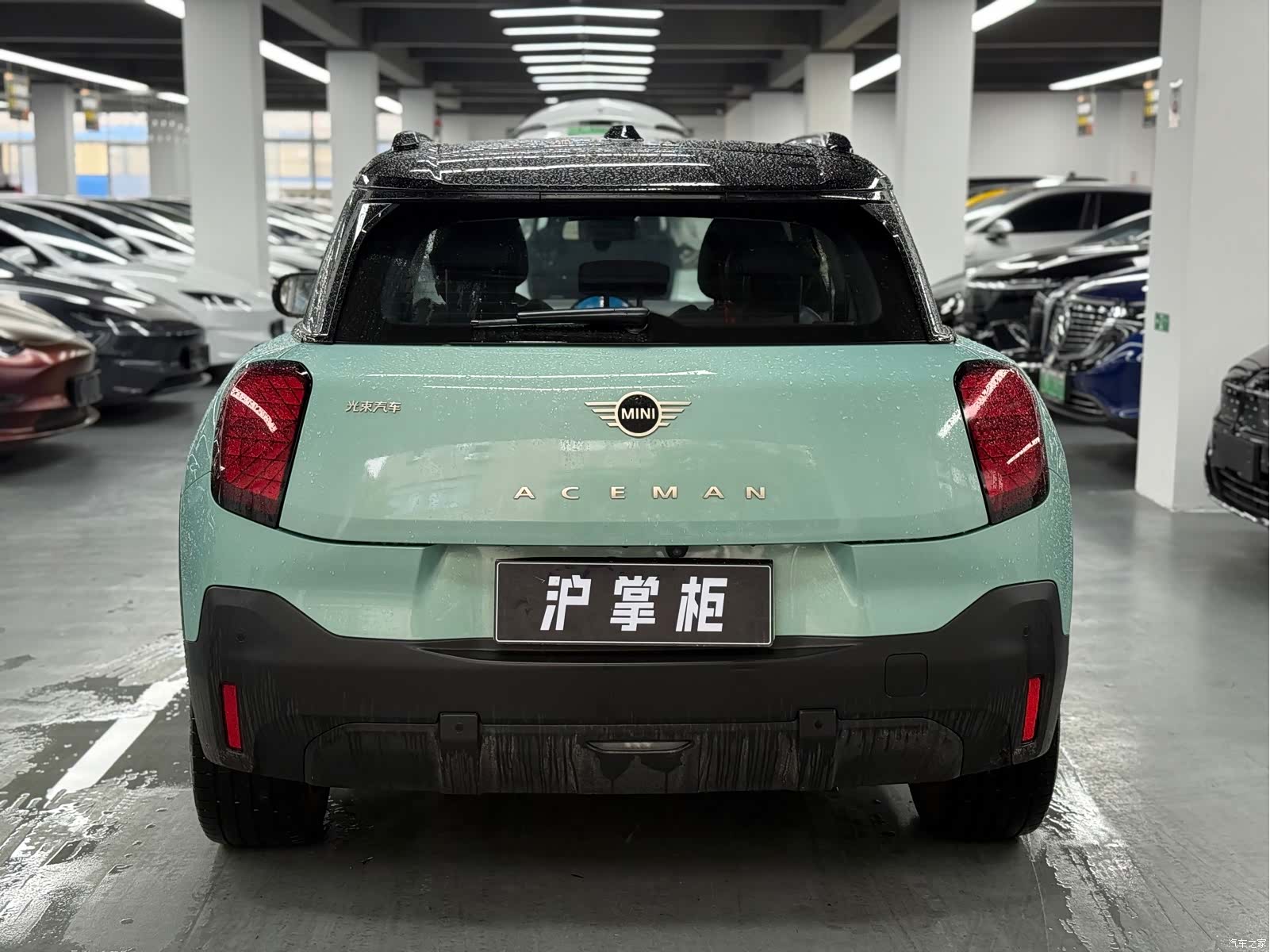 Mini ACEMAN, 2024 8