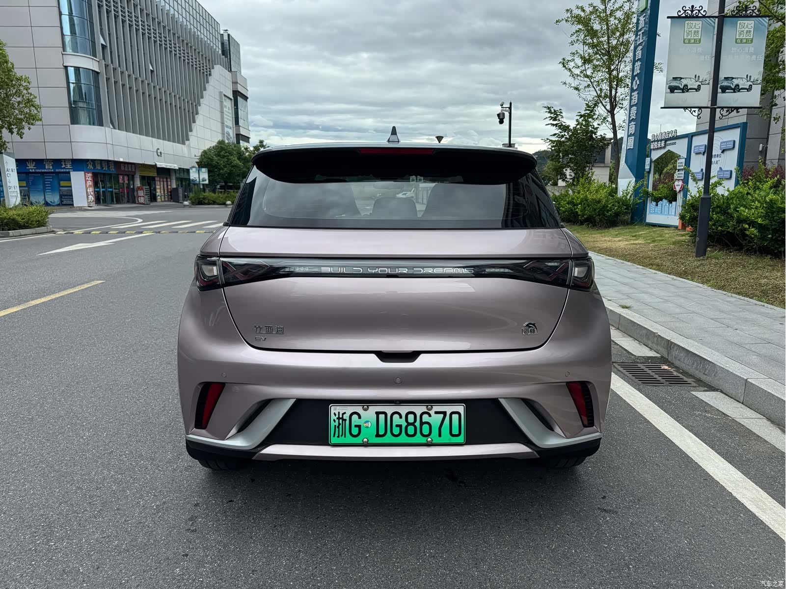 BYD Dolphin, 2022 4