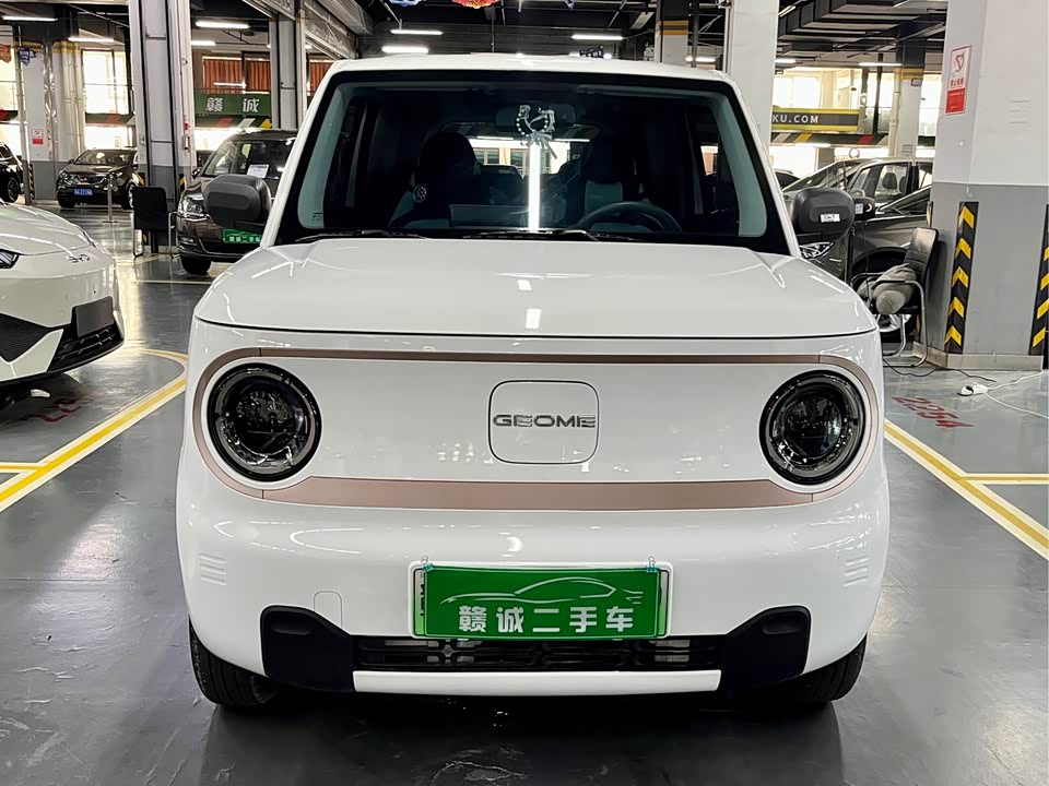 Geely Galaxy panda