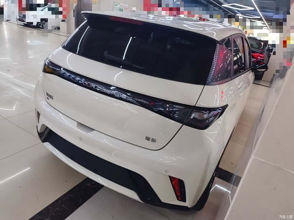 BYD Dolphin, 2024 7
