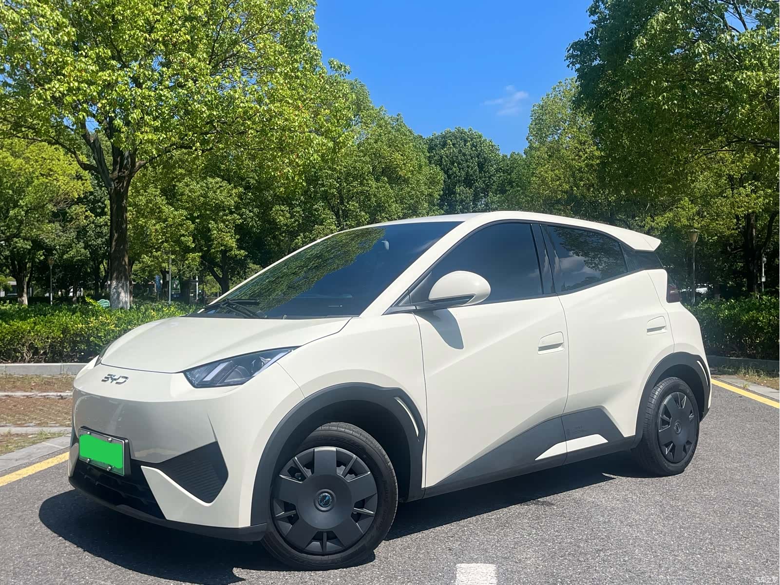 BYD Seagull, 2025 1
