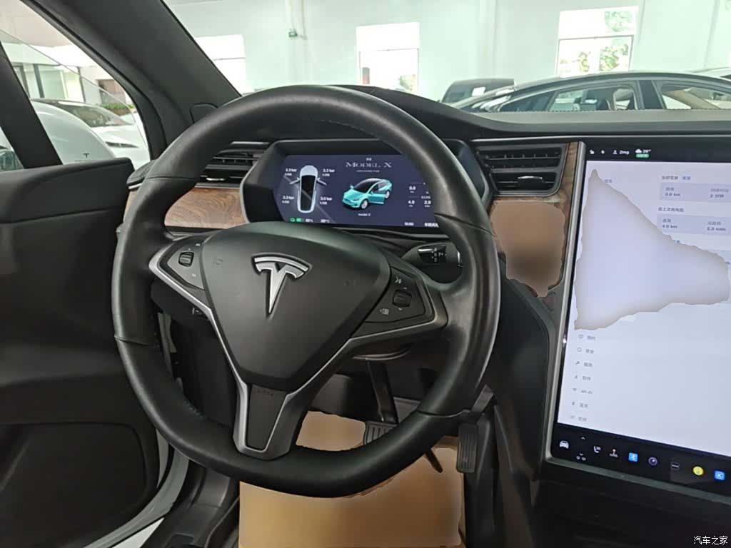 Tesla Model X, 2021 7