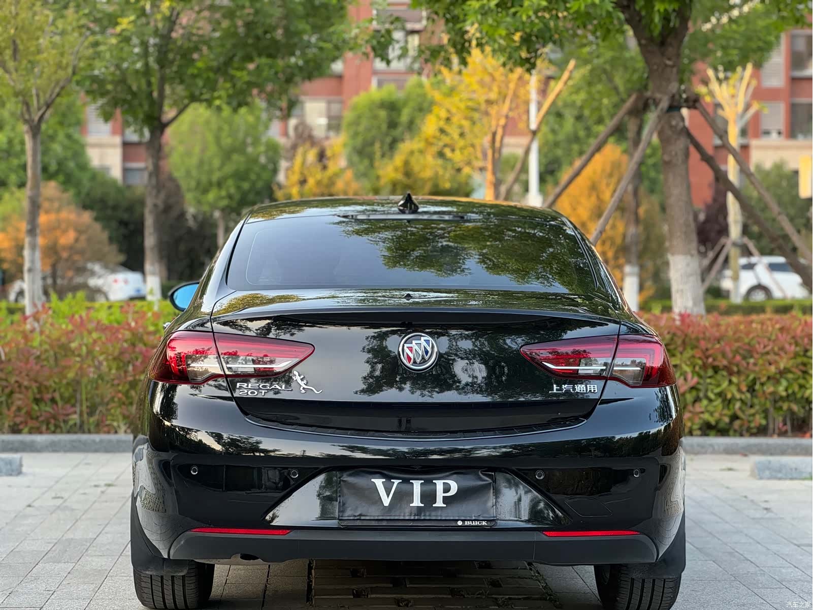 Buick Regal, 2018 9