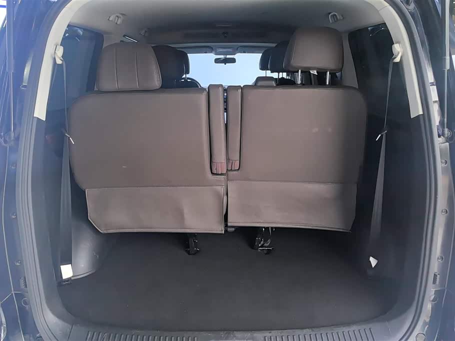 Forthing Lingzhi PLUS