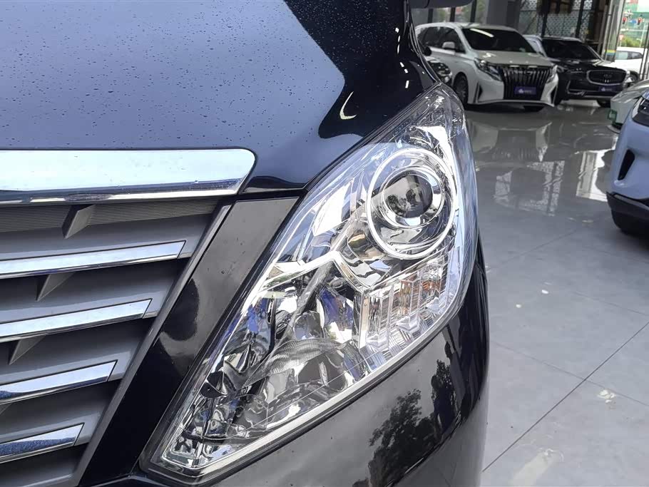 Forthing Lingzhi PLUS