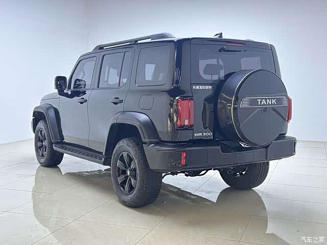 Tank 300, 2024 4