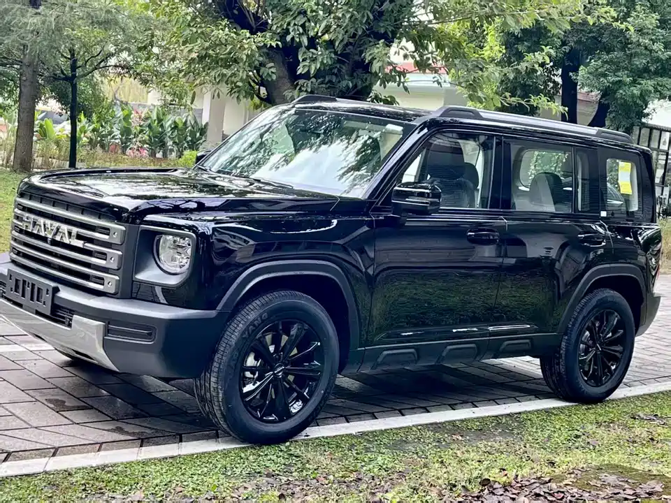 Haval Raptors