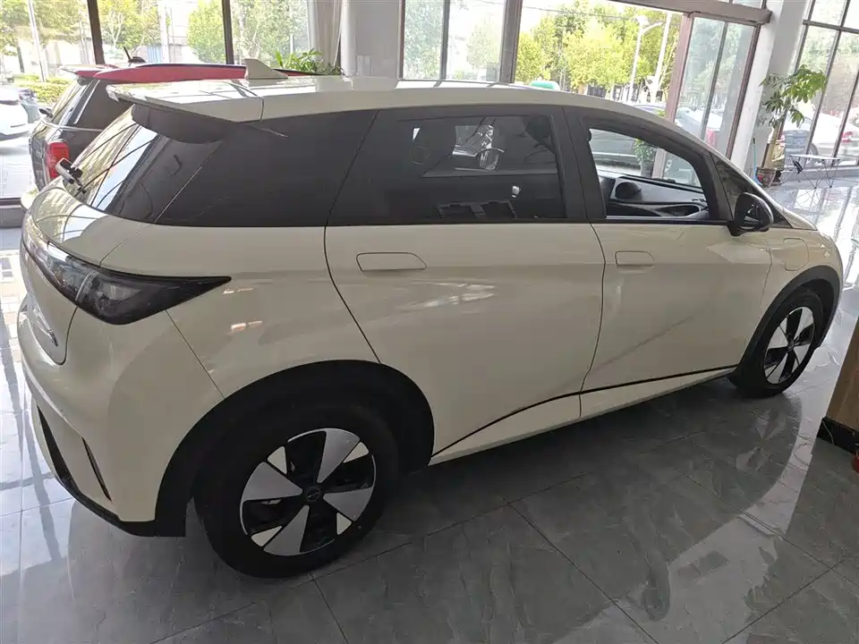 BYD dolphin