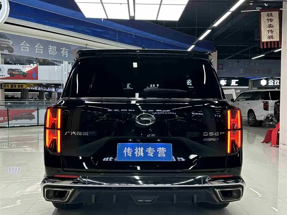 Trumpchi Trumpchi GS8