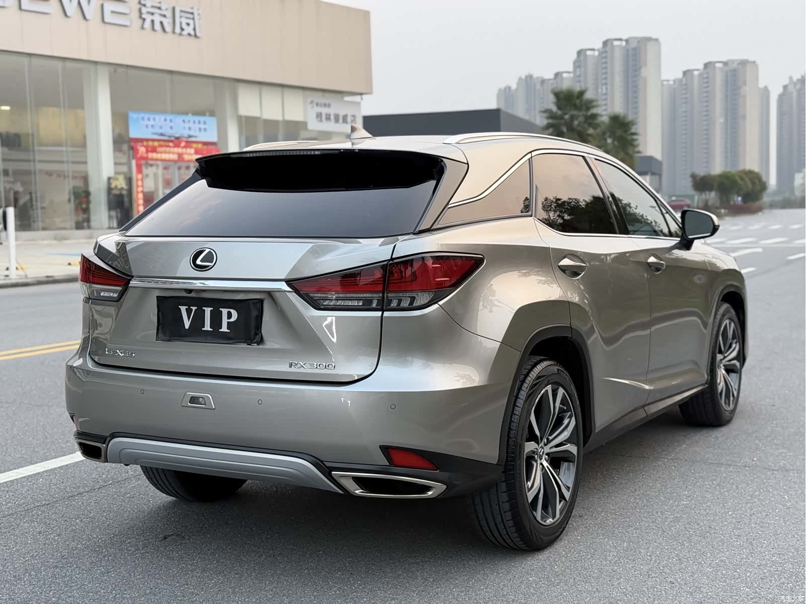 Lexus RX, 2020 6
