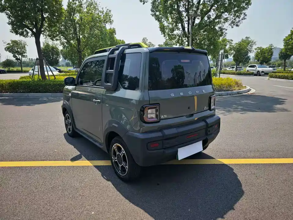 Geely Galaxy panda