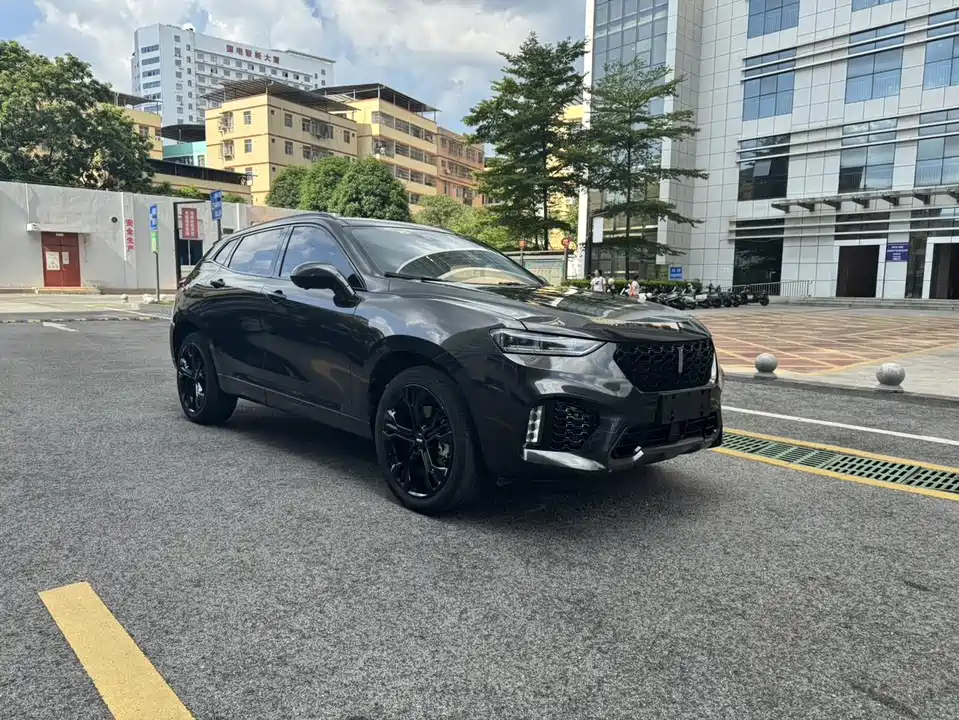 Weipai VV7
