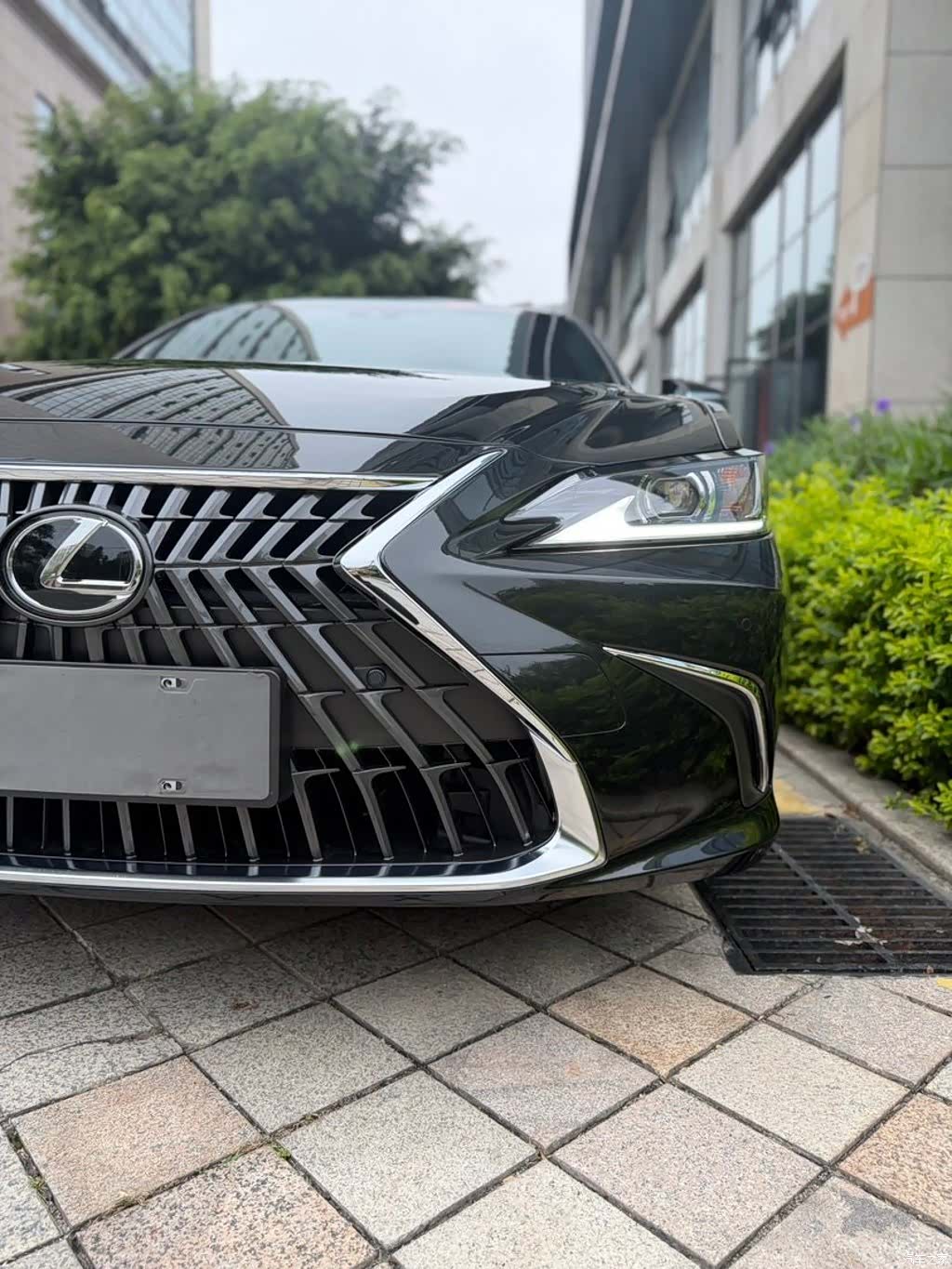 Lexus ES, 2024 13