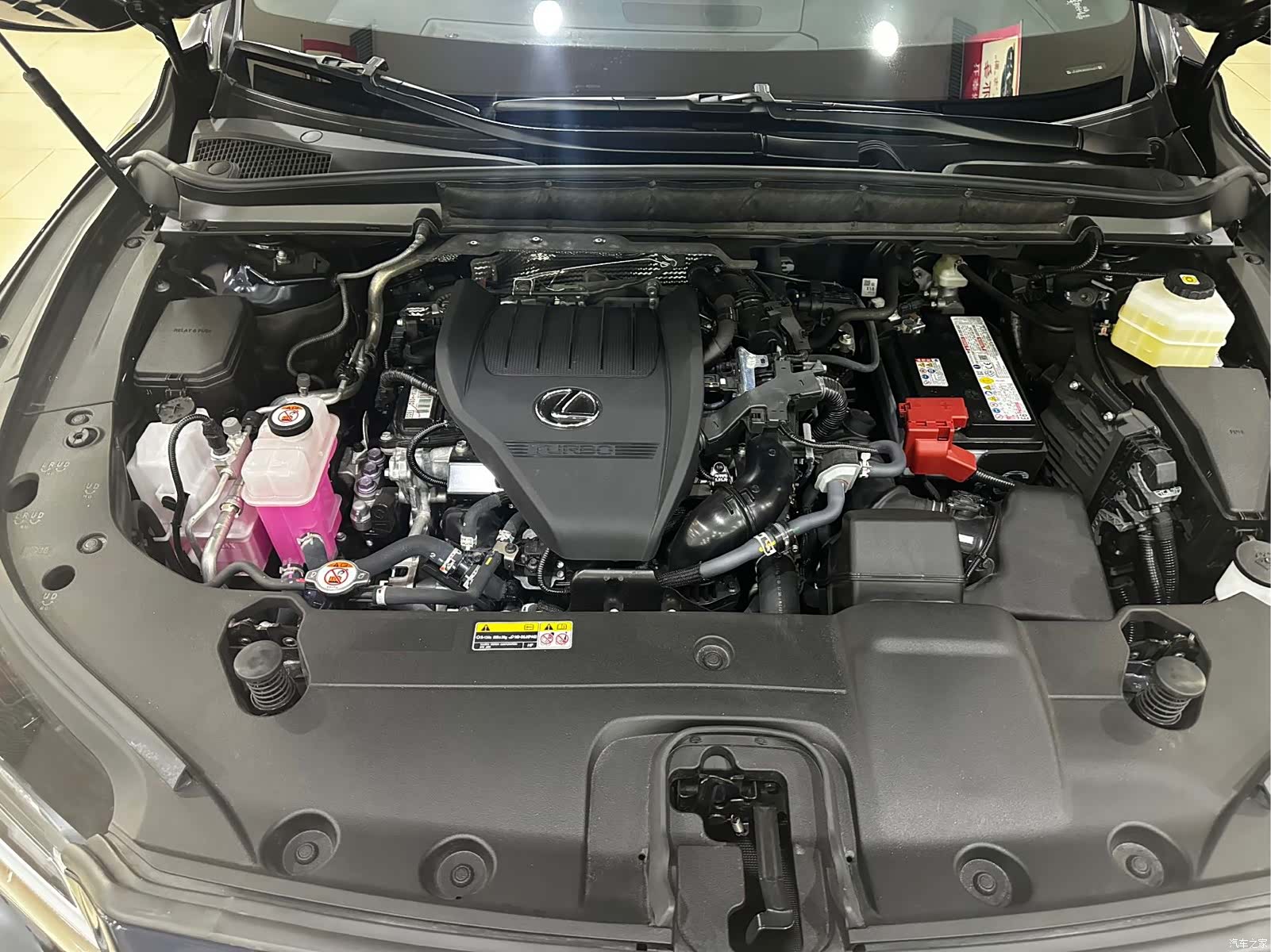 Lexus RX, 2025 17