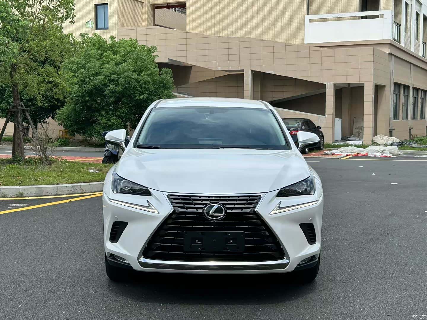 Lexus NX, 2019 2