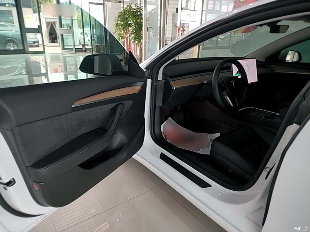 Tesla Model 3, 2021 16