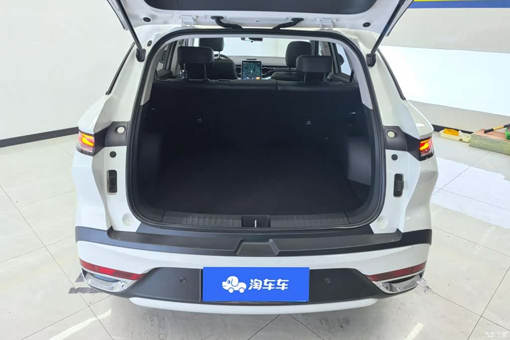 Bestune T90, 2024 4