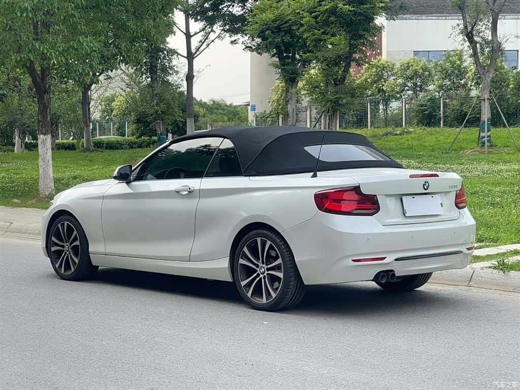 BMW 2 Series, 2019 все фото
