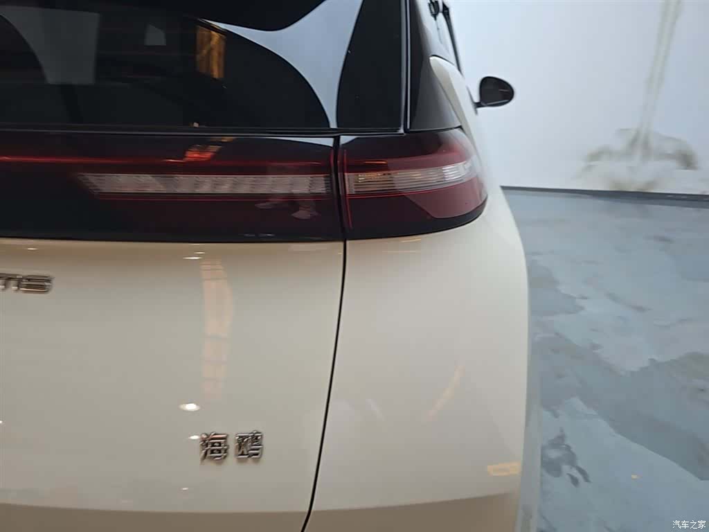 BYD Seagull, 2024 8