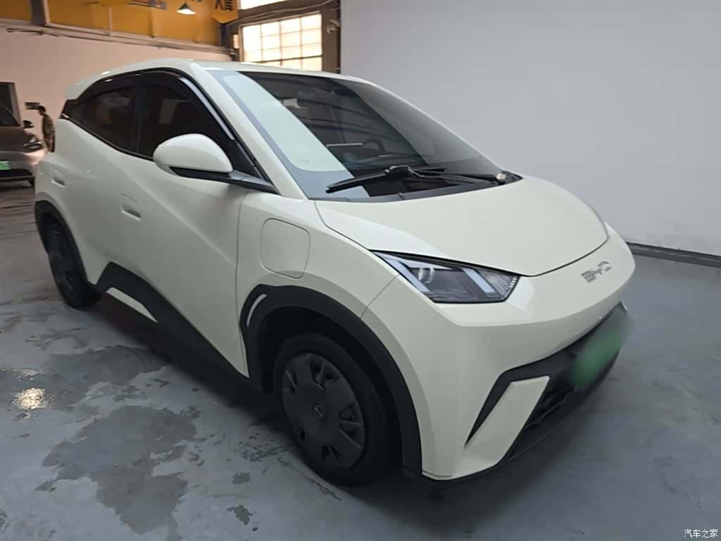 BYD Seagull, 2024 4