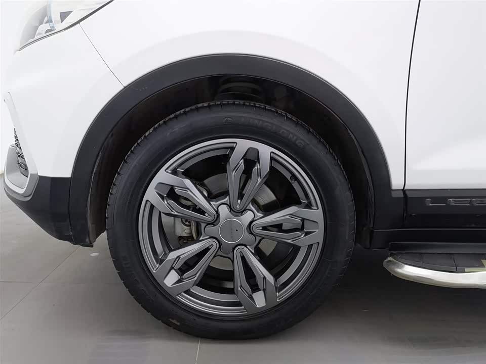 Leopaard Cheetah CS9