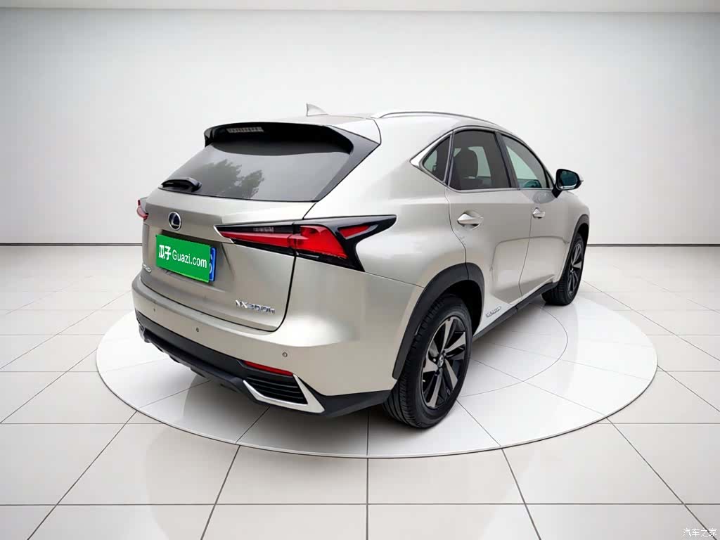 Lexus NX, 2021 6