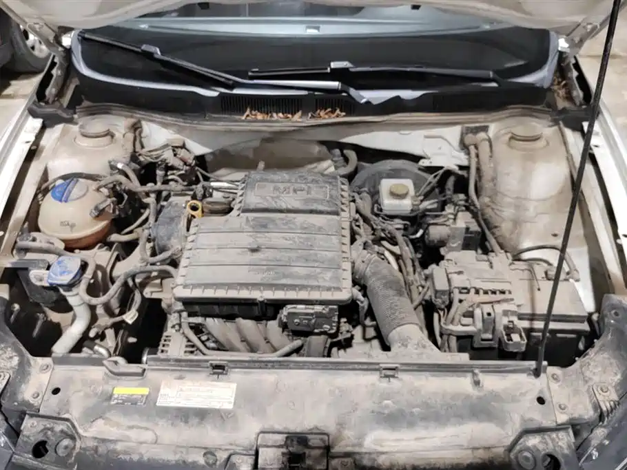 Volkswagen C-TREK Wei Collar