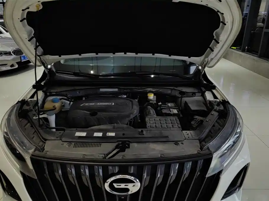 Trumpchi Trumpchi GS4