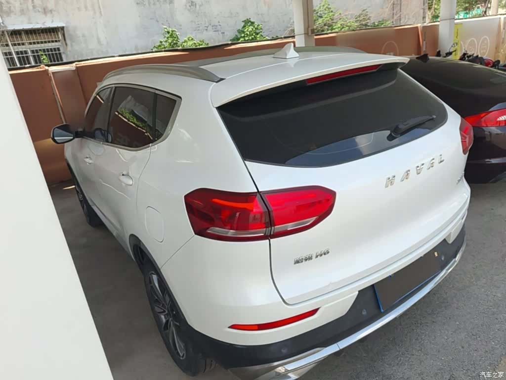 Haval H6, 2021 все фото