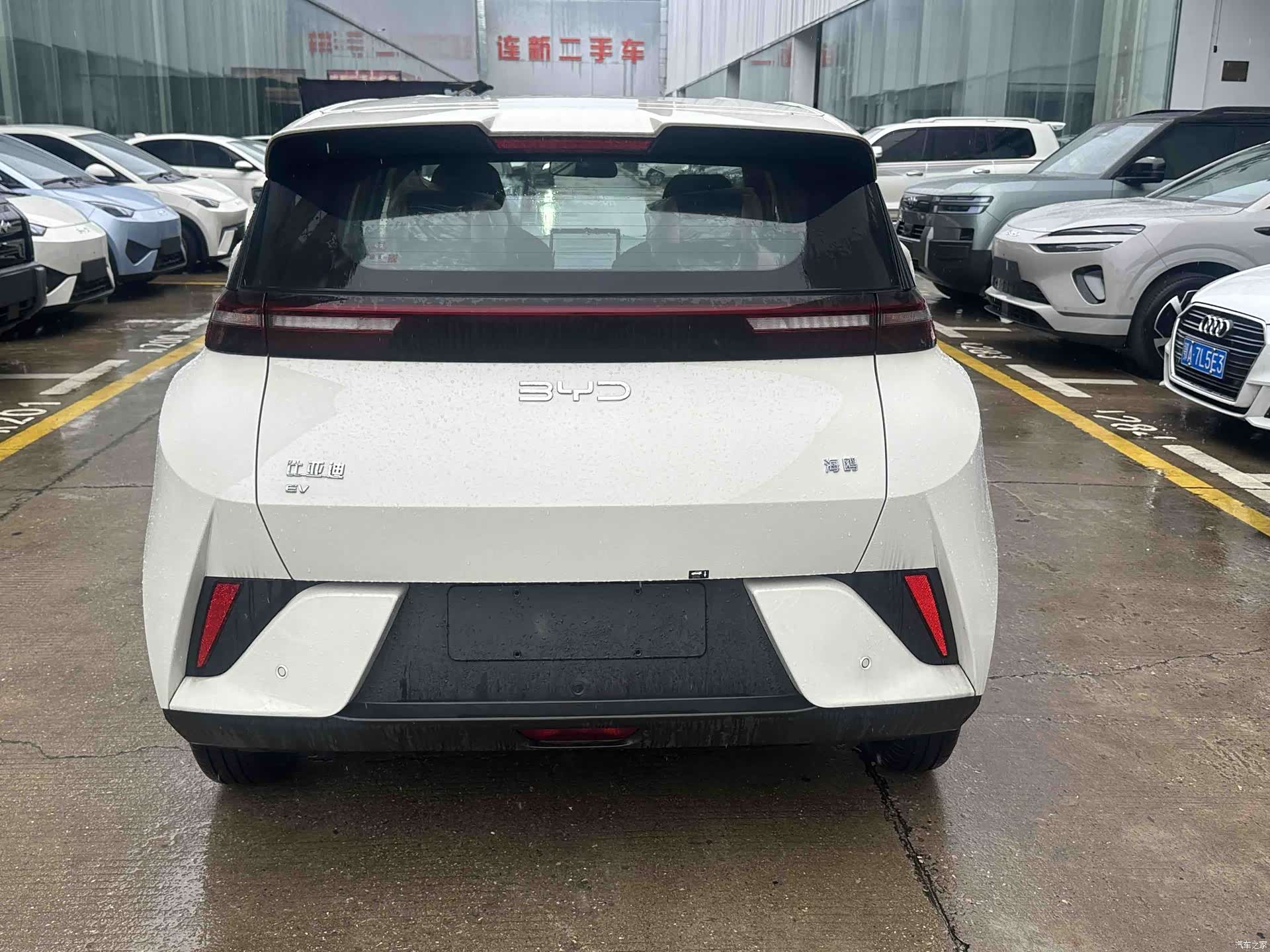 BYD Seagull, 2026 все фото