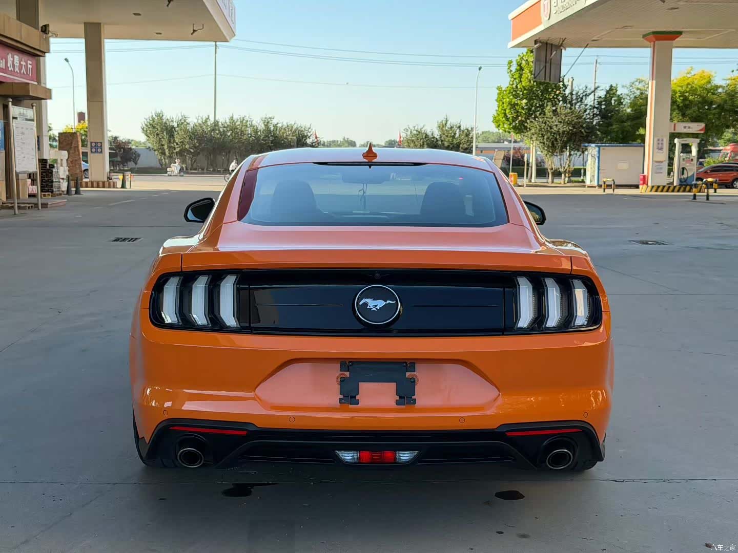 Ford Mustang, 2022 все фото