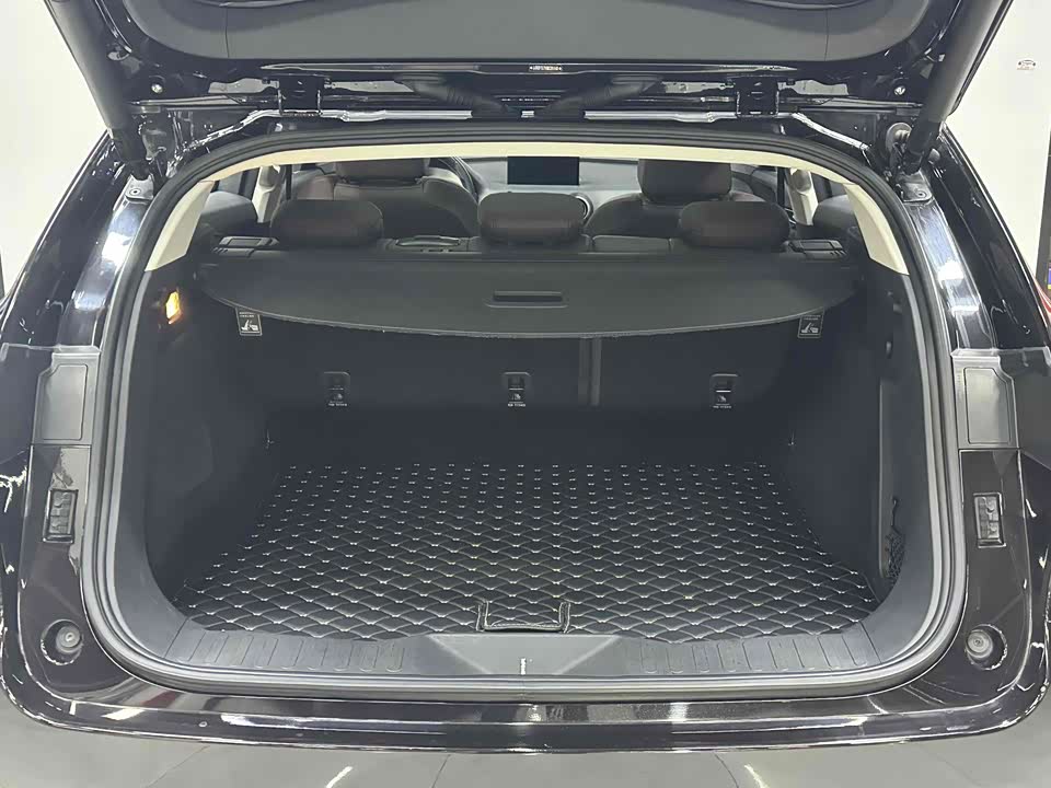 Weipai VV7
