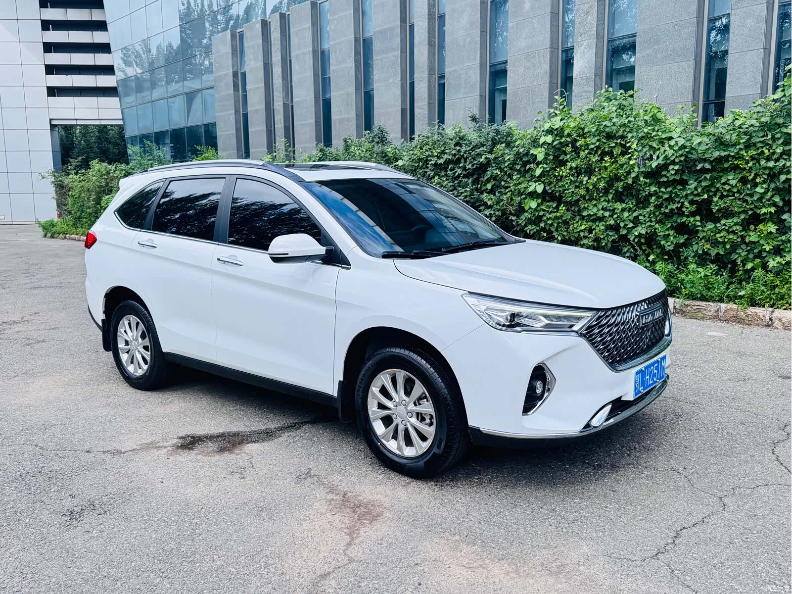 Haval M6, 2023 3