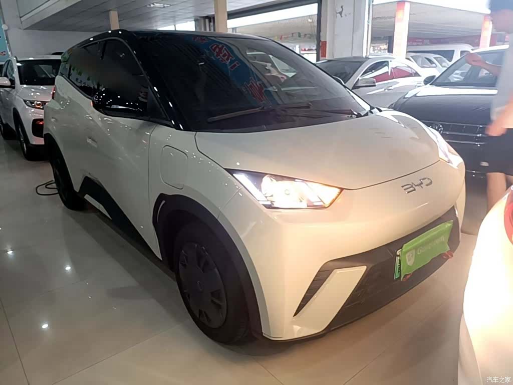 BYD Seagull, 2024 22