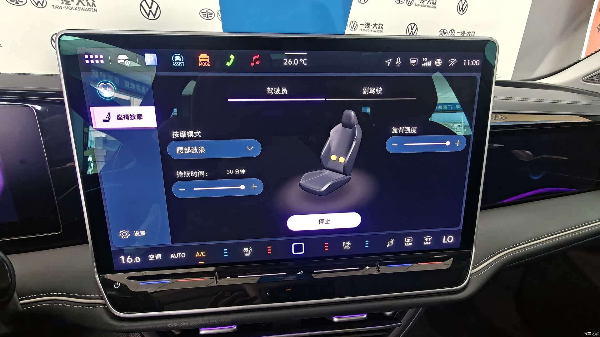 Volkswagen Magotan, 2024 11