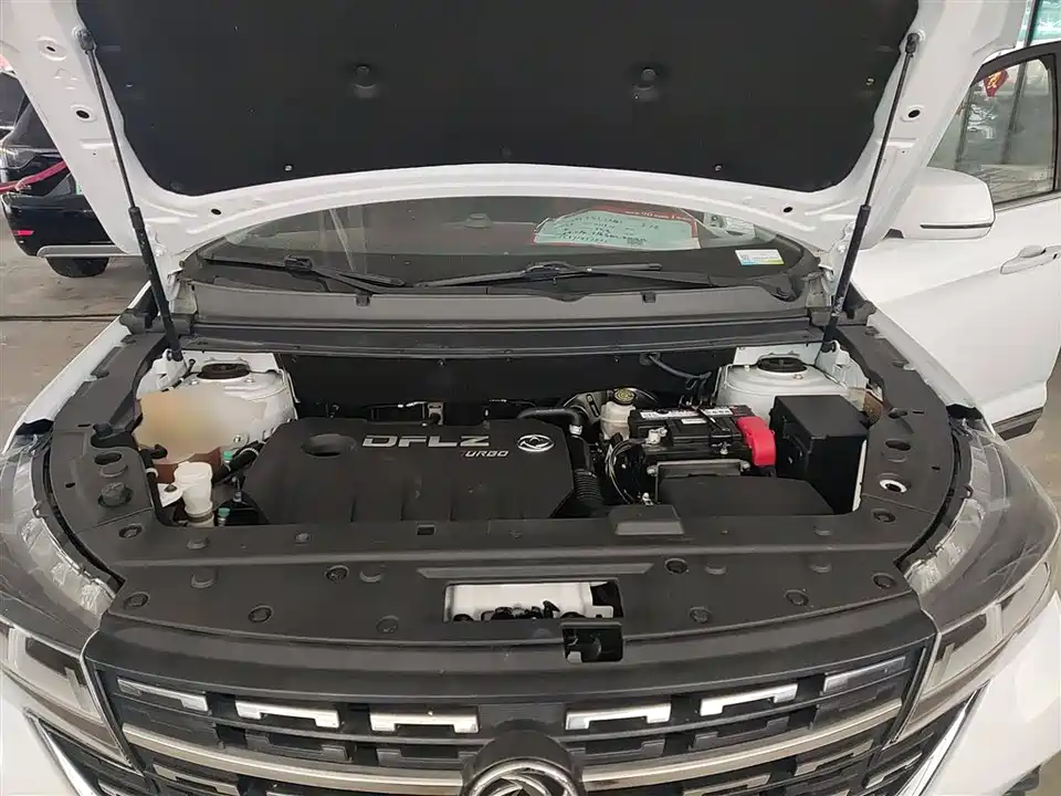 Forthing Popular T5L