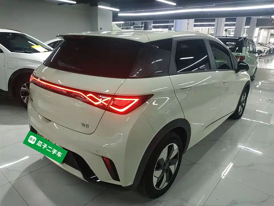 BYD dolphin