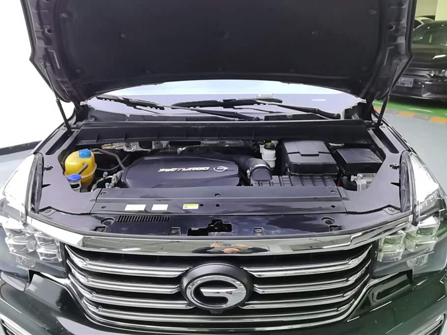 Trumpchi Trumpchi GS8