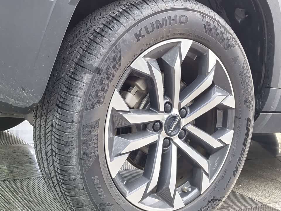 Haval Big dog