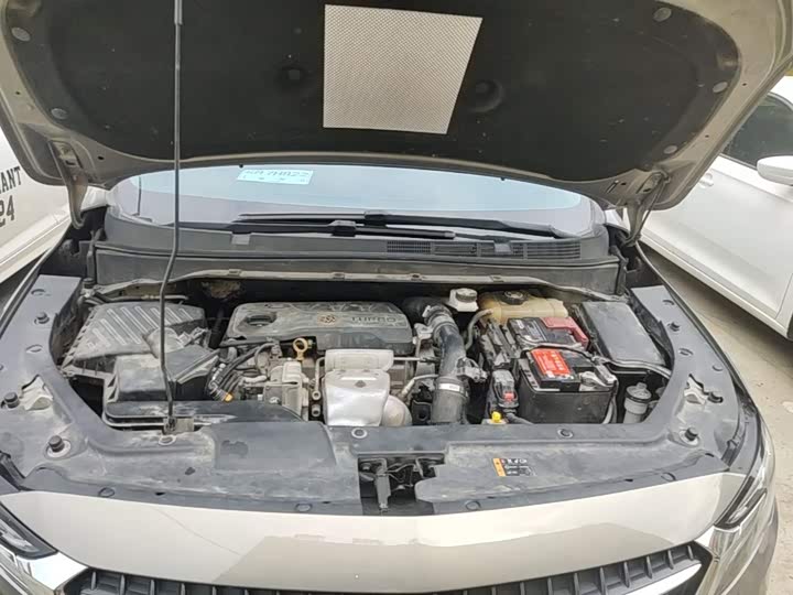 Buick GL6 2019 18T 6 seats hu lian Премиум China VI
