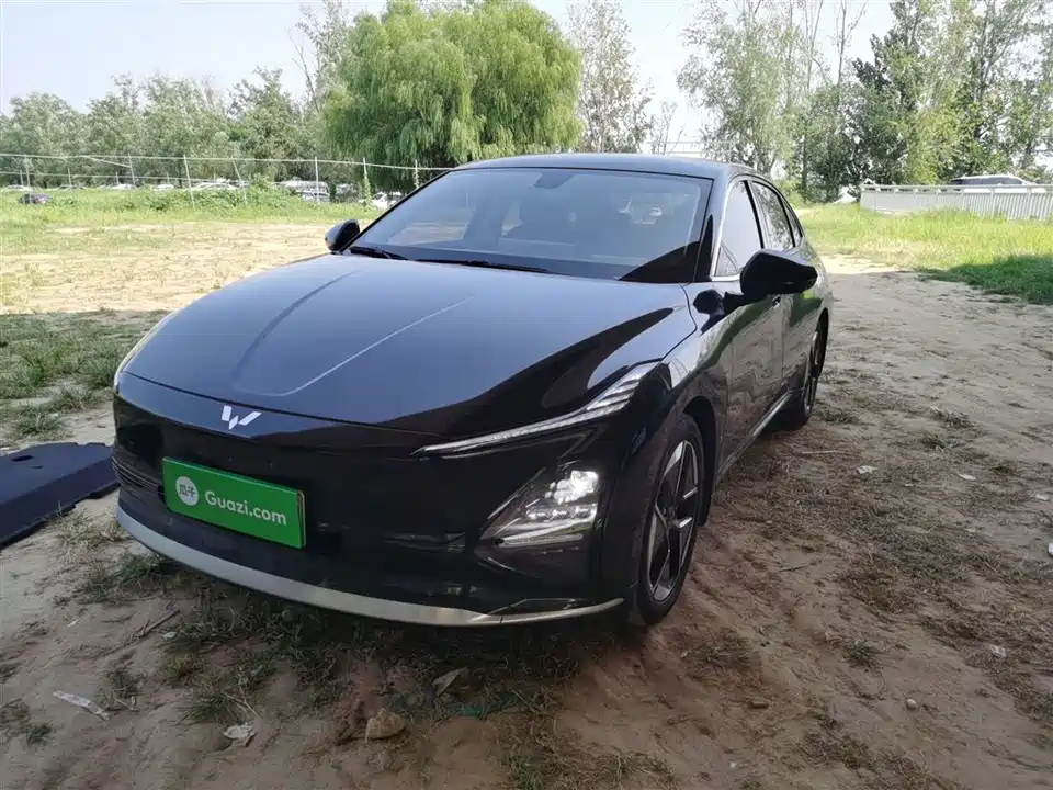 Wuling Wuling Starlight