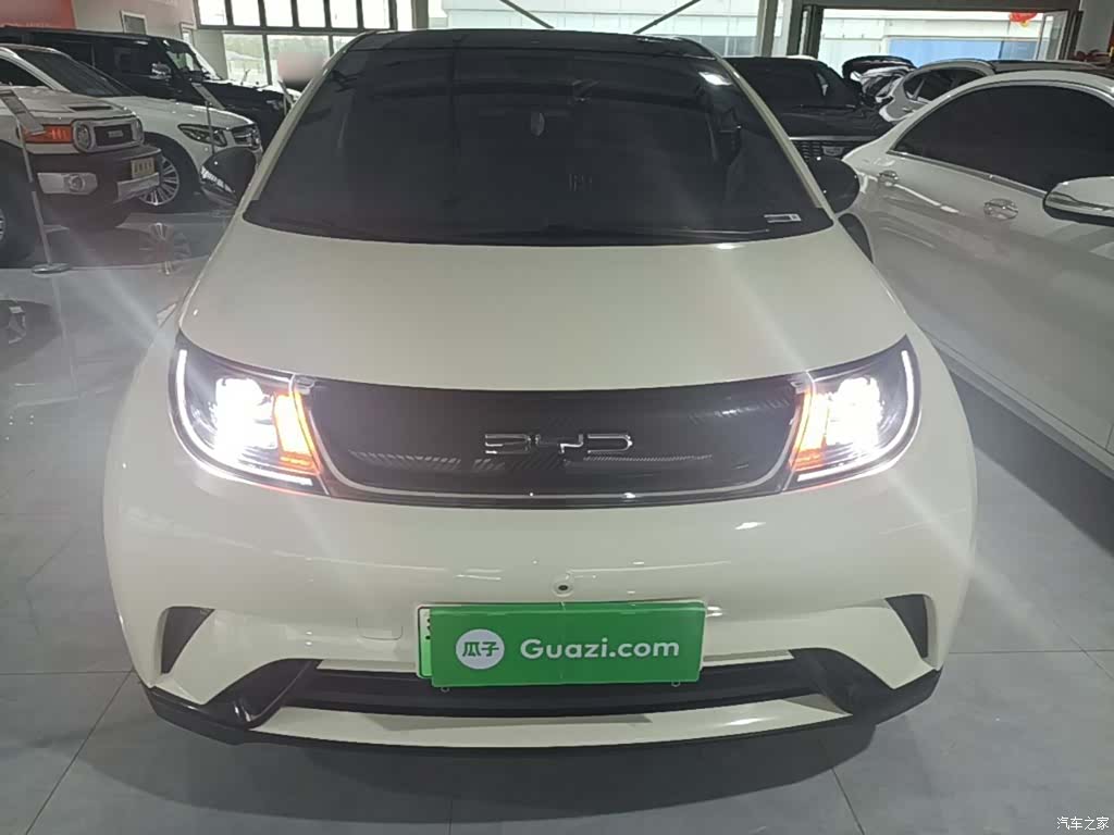 BYD Dolphin, 2022 3