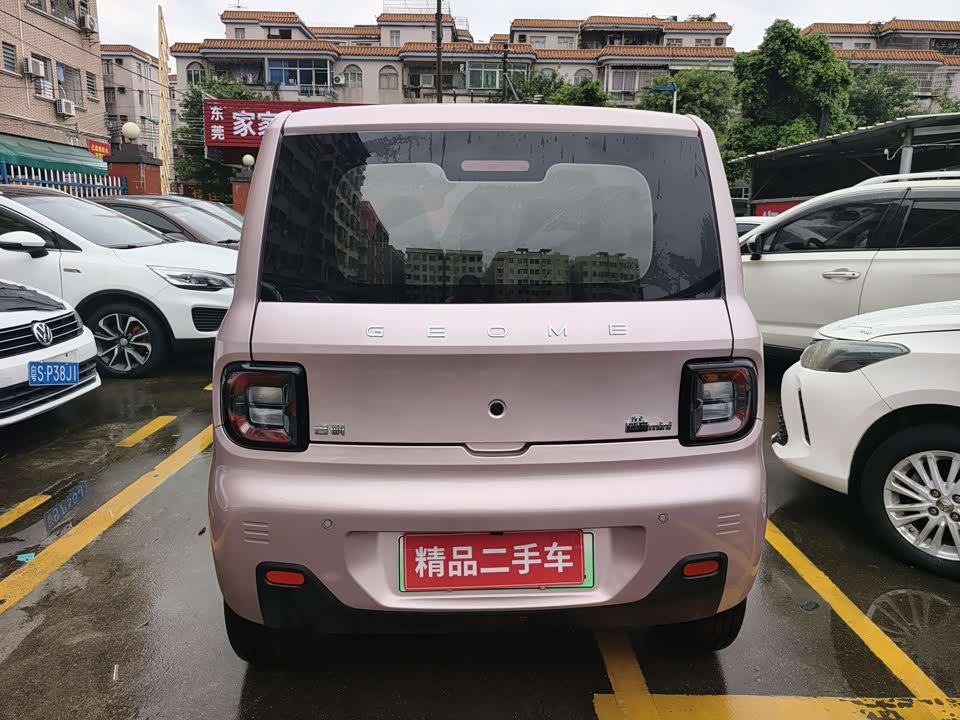 Geely Galaxy panda Geely Galaxy panda